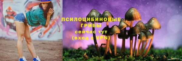 гидропоника Краснотурьинск