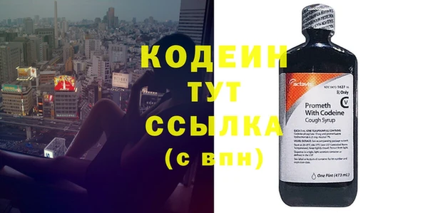 бошки Тавда