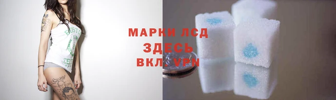 гидропоника Краснотурьинск