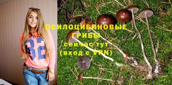 метадон Краснослободск