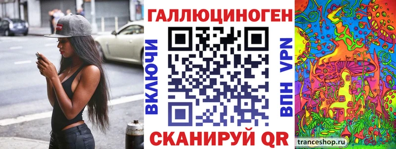 Псилоцибиновые грибы Psilocybe Шилка